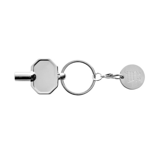 RCS recycled zinc alloy radiator key keychain with coin