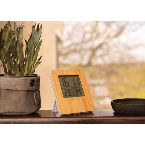 Bamboo weather station