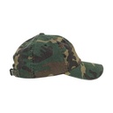 Low Profile Camo Washed Cap