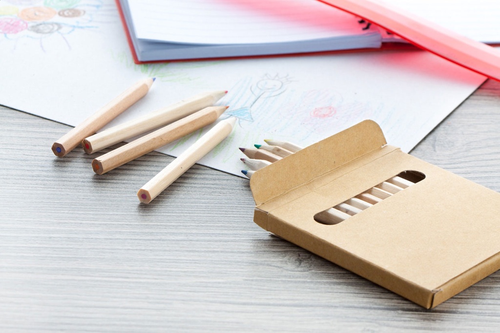12 kleurpotloden in kartonnen doosje #3