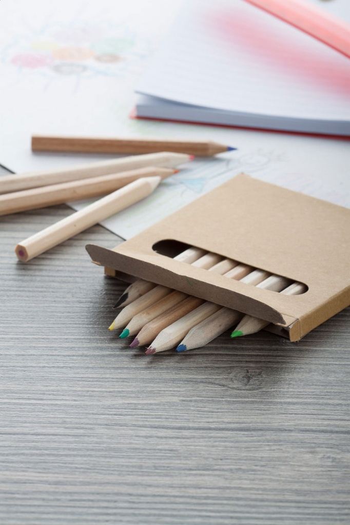 12 kleurpotloden in kartonnen doosje #6