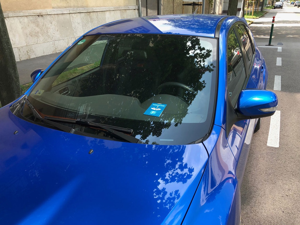 custom made parkeerkaart #11