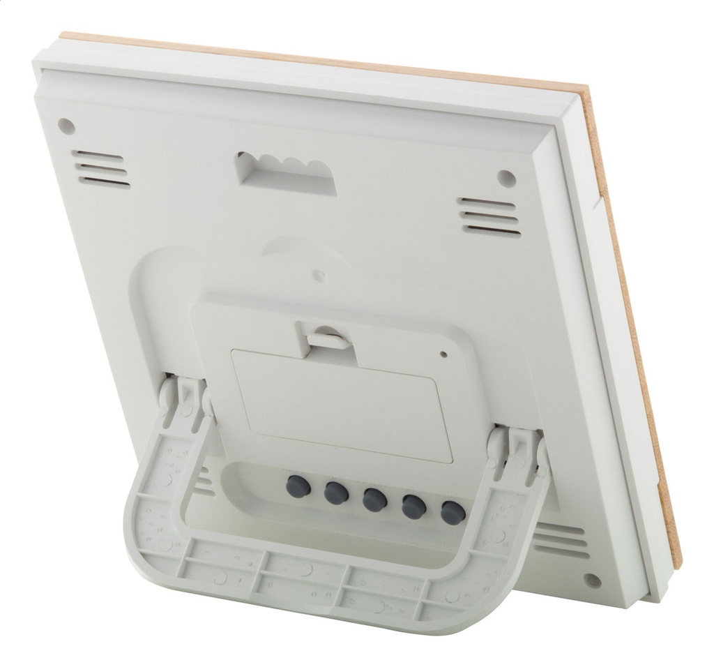 bamboe weerstation #2