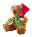 Pluche teddybeer #2