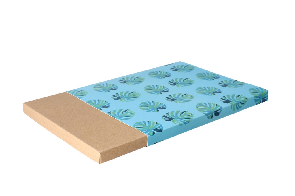 aangepaste papieren sleeve #2