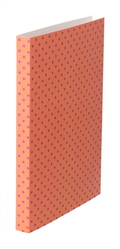 aangepaste papieren sleeve #1