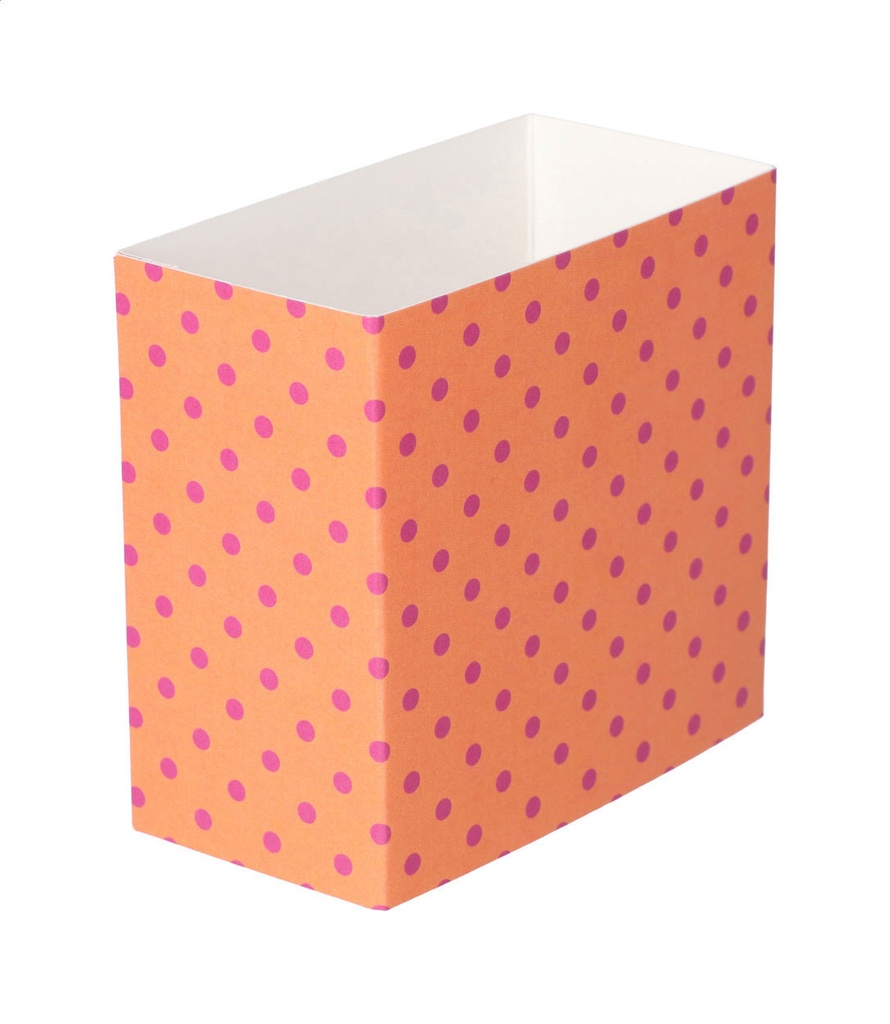 aangepaste papieren sleeve #1