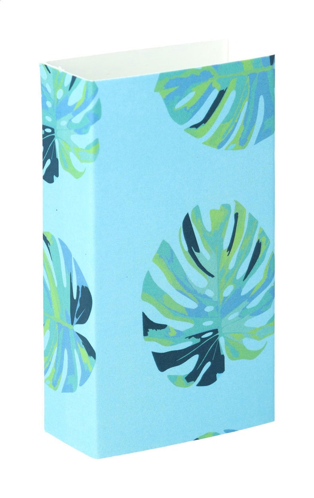 aangepaste papieren sleeve #2