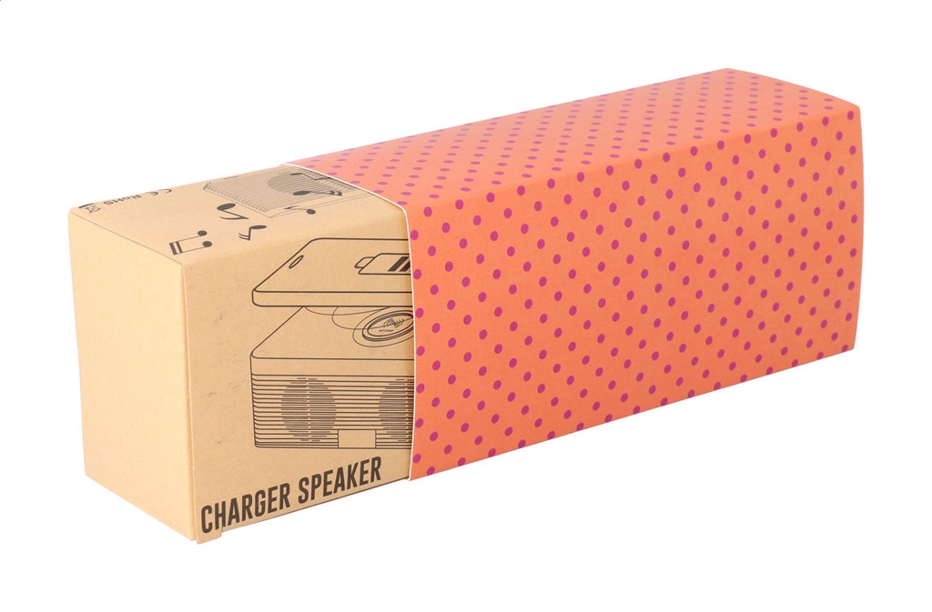 aangepaste papieren sleeve #2