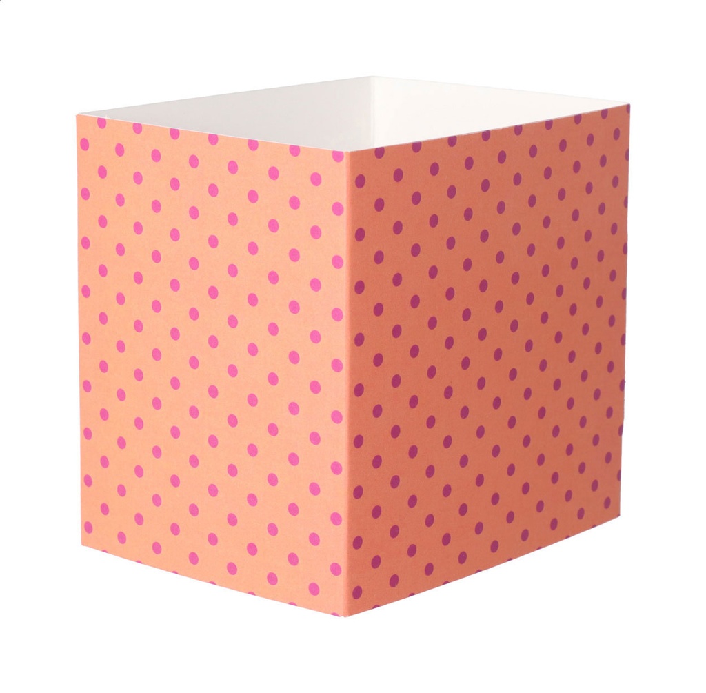 aangepaste papieren sleeve #1