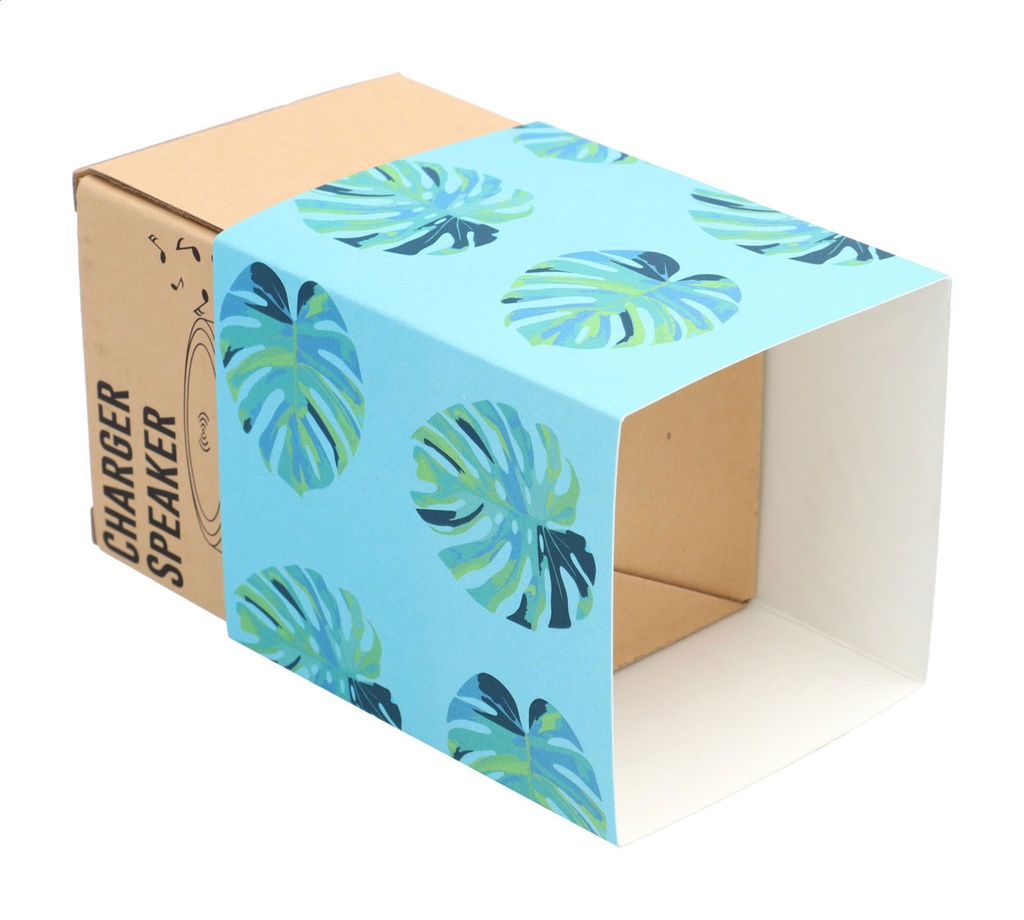 aangepaste papieren sleeve #2