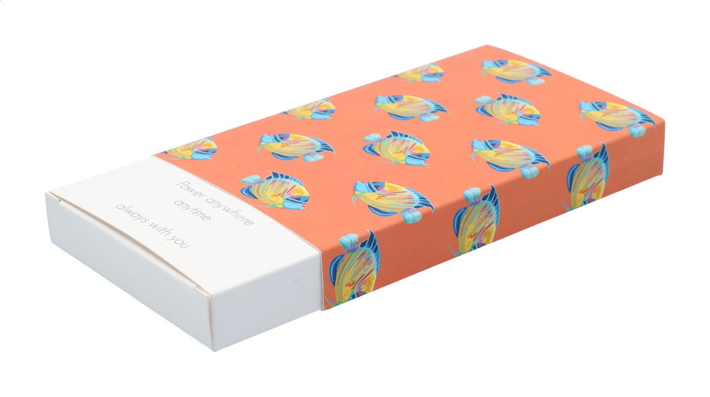 aangepaste papieren sleeve #2