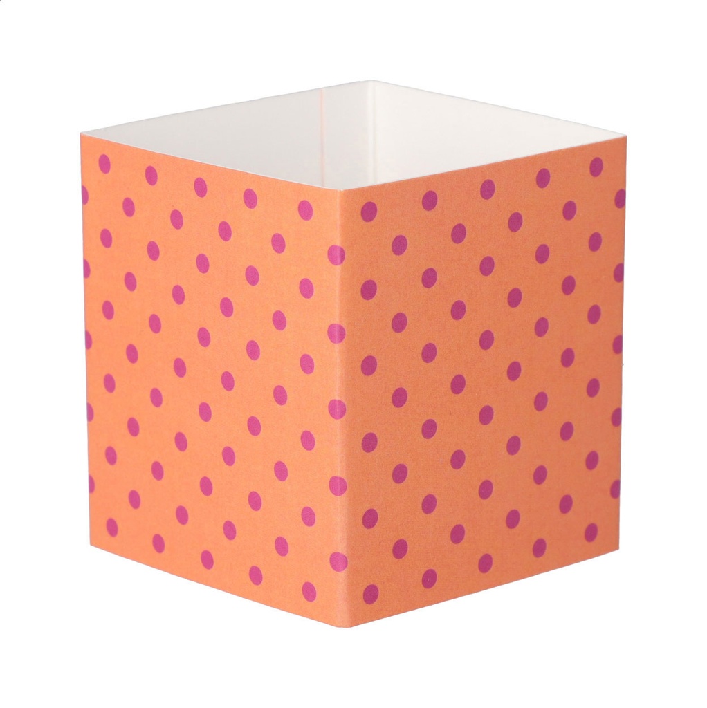 aangepaste papieren sleeve #1