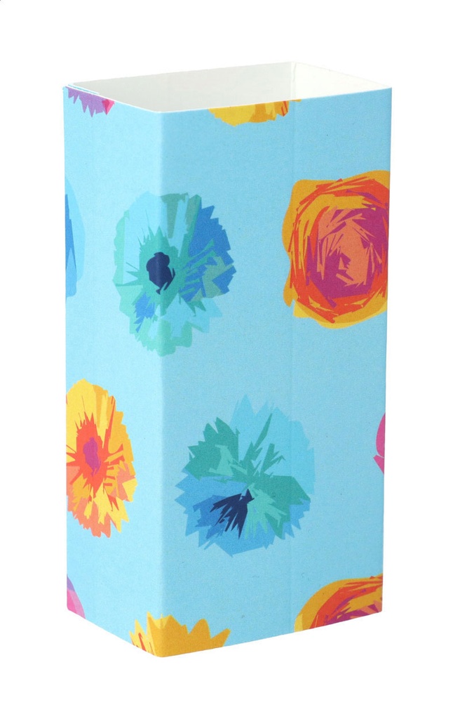 aangepaste papieren sleeve #1