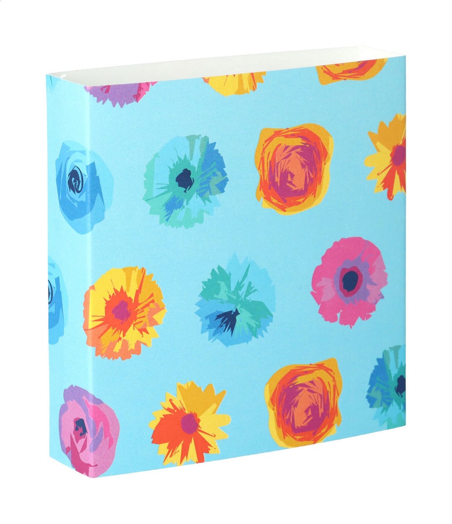 aangepaste papieren sleeve #1