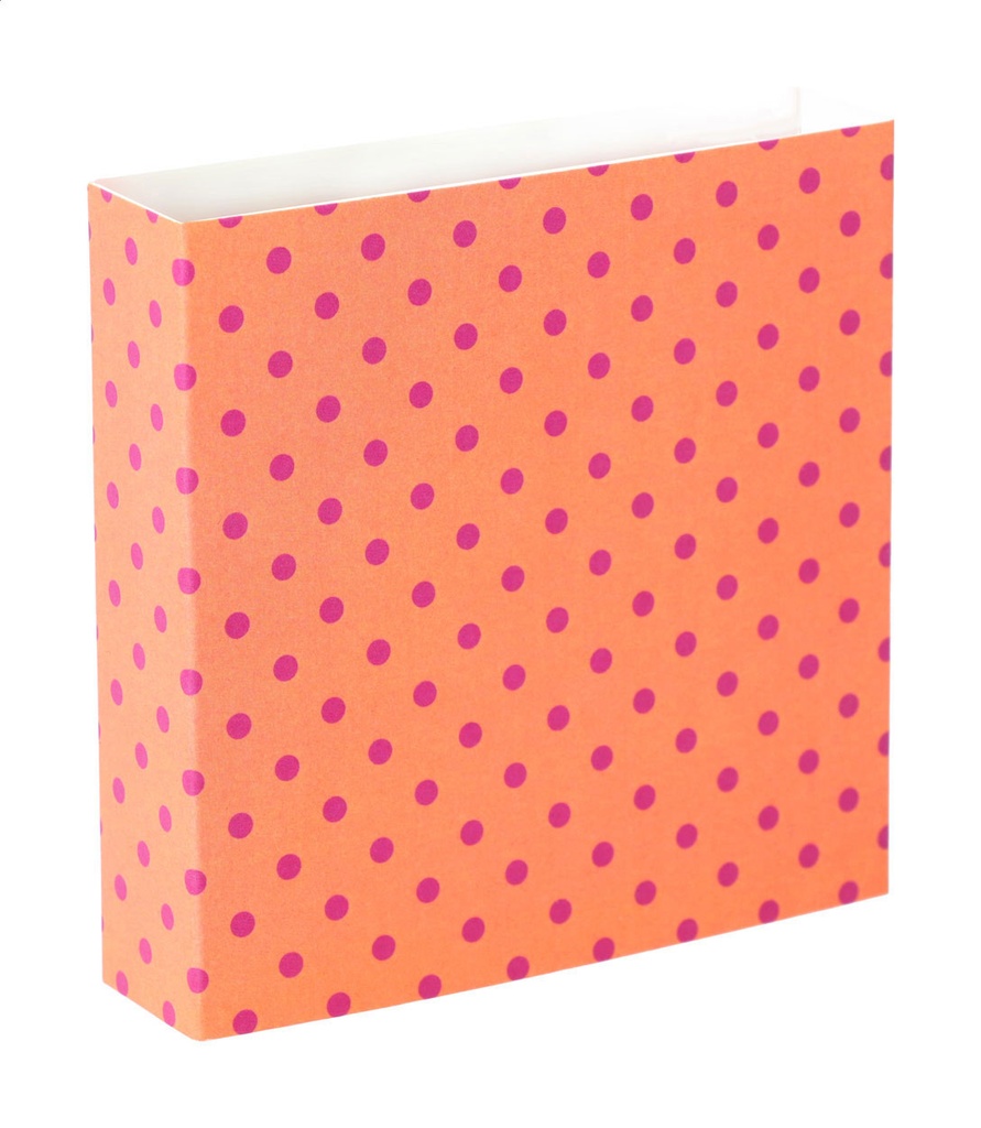 aangepaste papieren sleeve #1