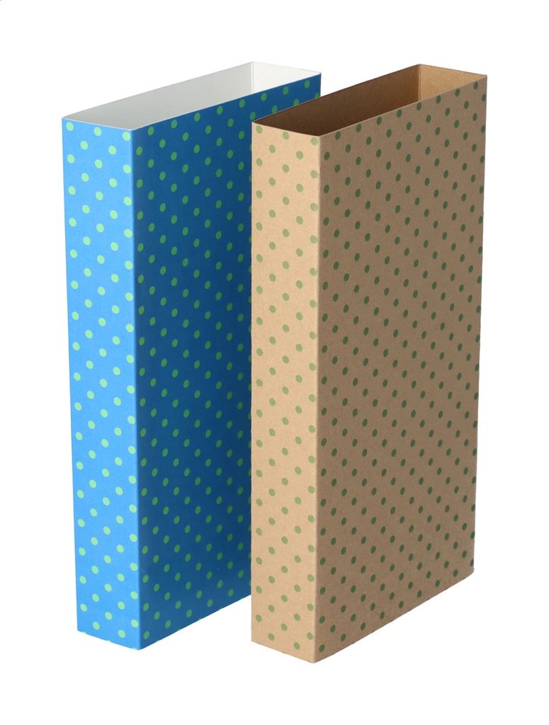 aangepaste papieren sleeve #4