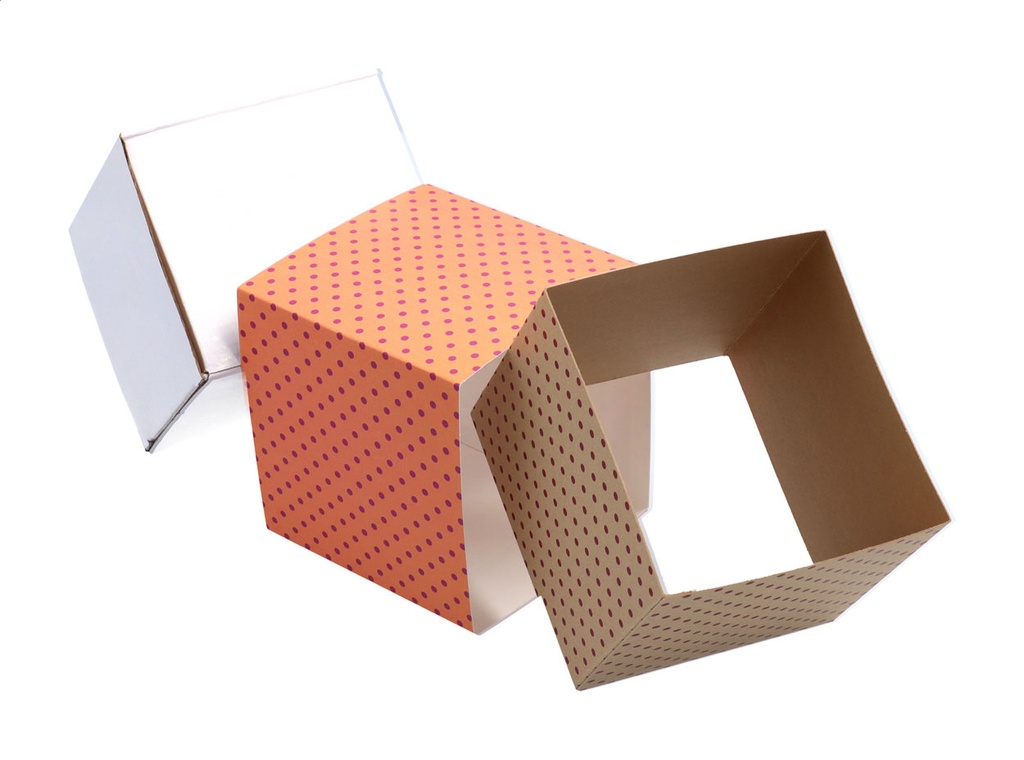 aangepaste papieren sleeve #2