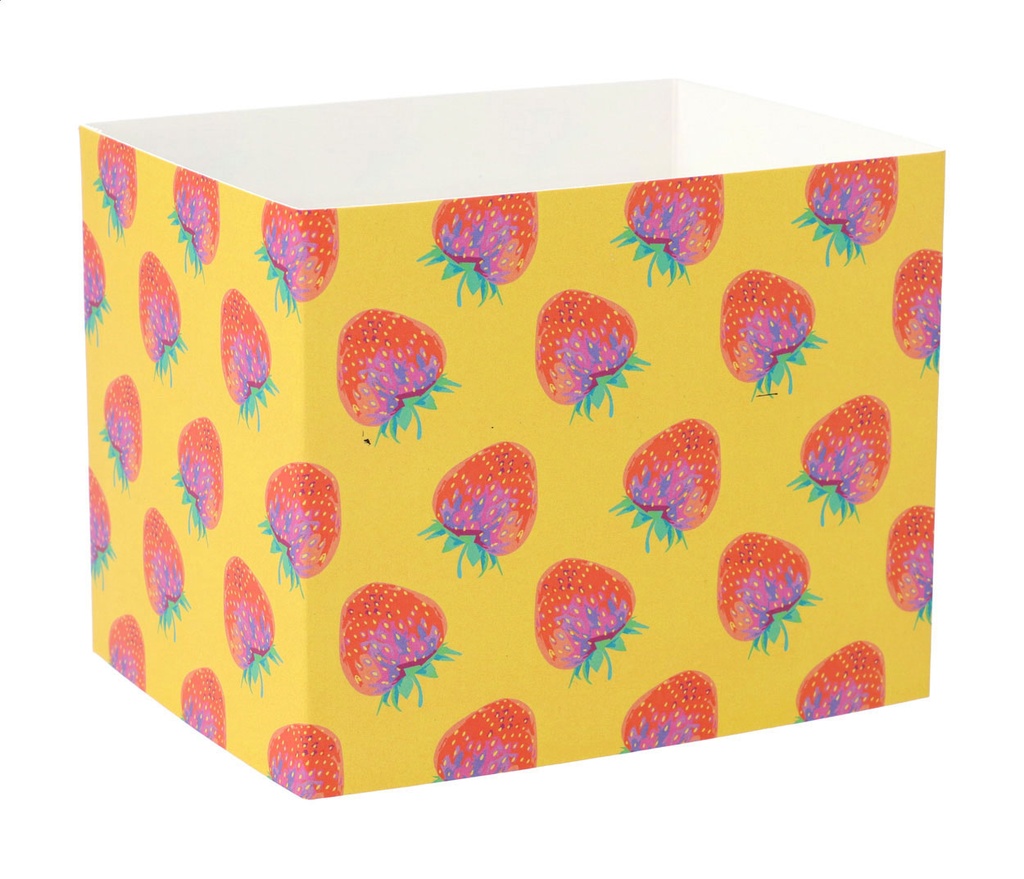 aangepaste papieren sleeve #1