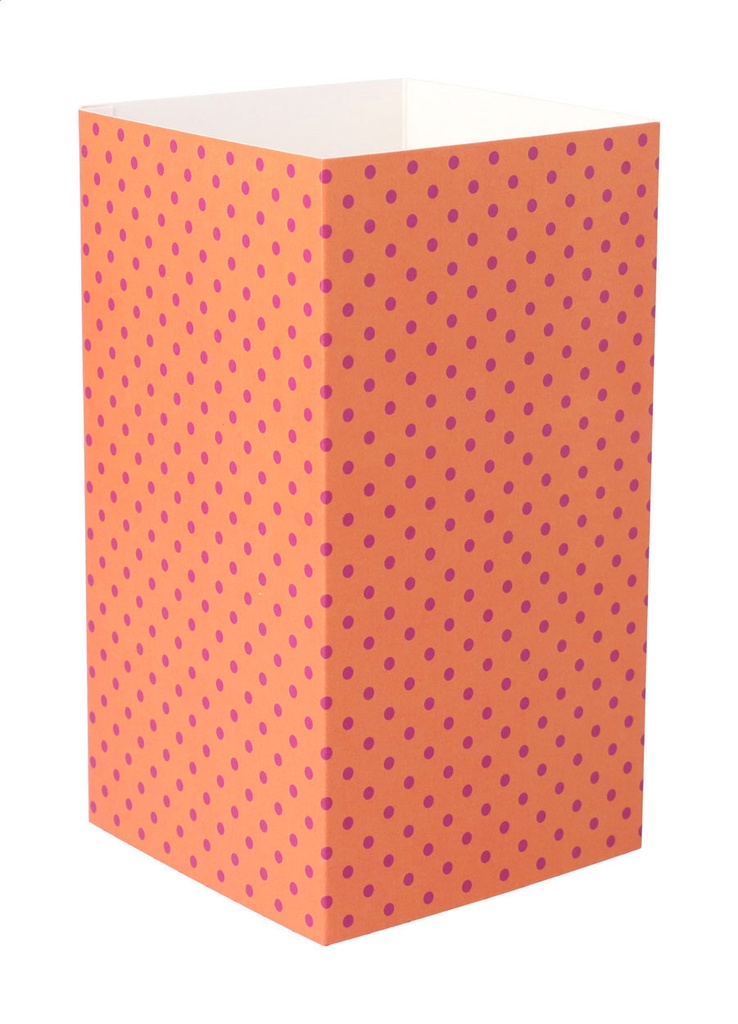 aangepaste papieren sleeve #1