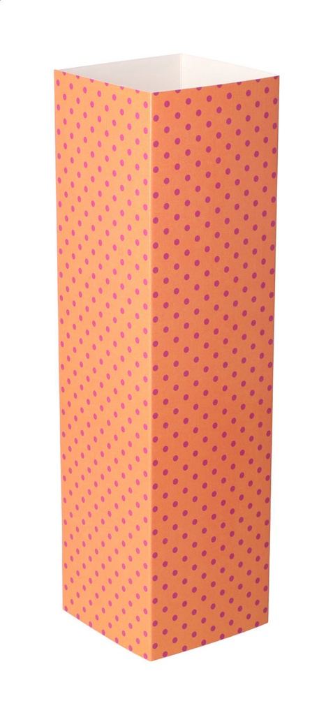 aangepaste papieren sleeve #2