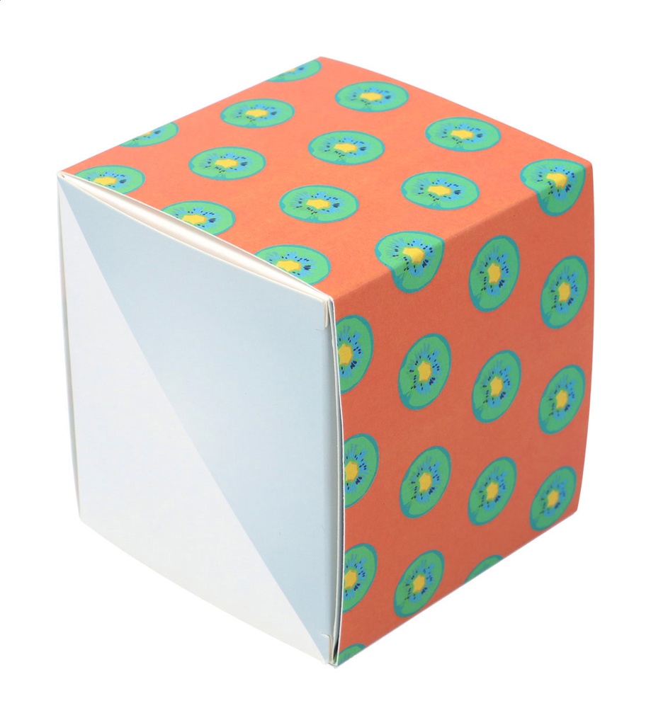 aangepaste papieren sleeve #2