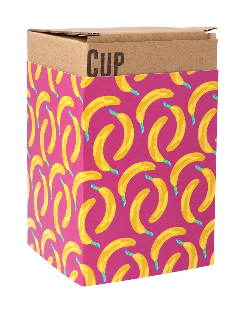 aangepaste papieren sleeve #2