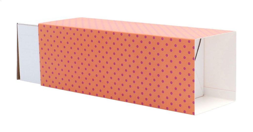 aangepaste papieren sleeve #2