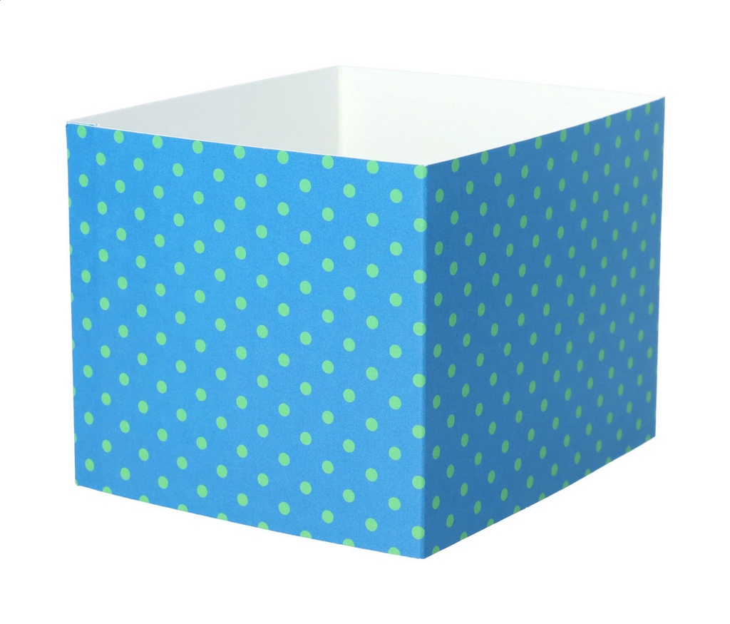 aangepaste papieren sleeve #1