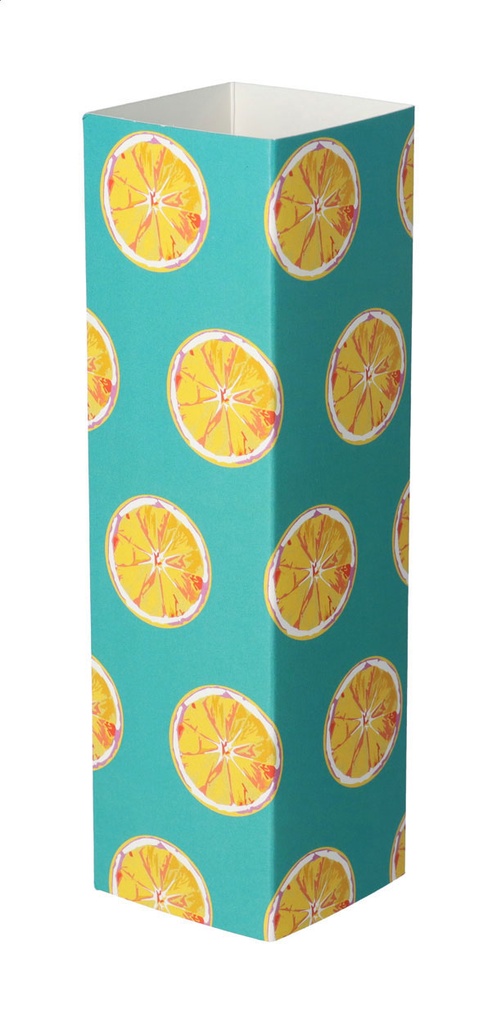 aangepaste papieren sleeve #1