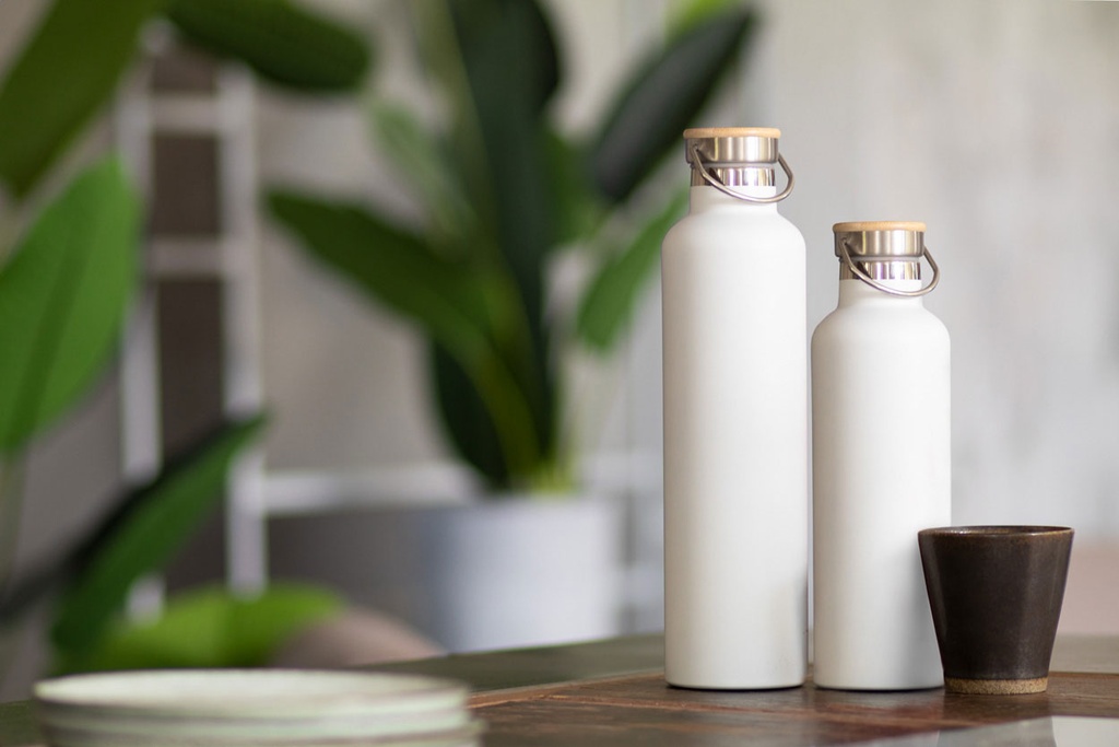 geïsoleerde fles, 750 ml #3