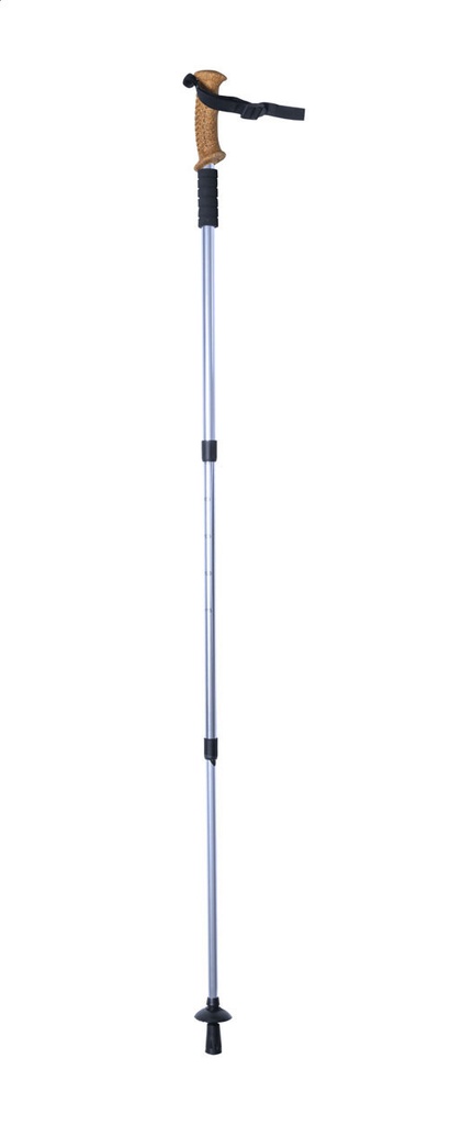 nordic walking sticks #8
