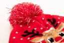 Kerst wintermuts #8