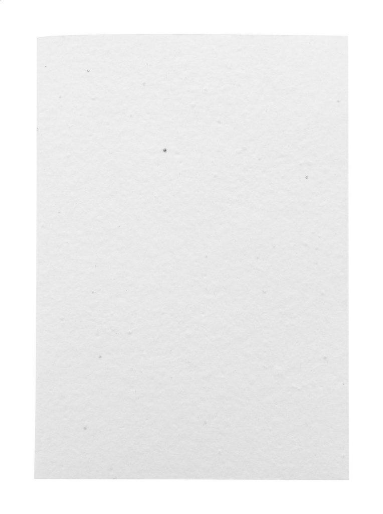 op maat gemaakt notitieboek van zaadpapier #3