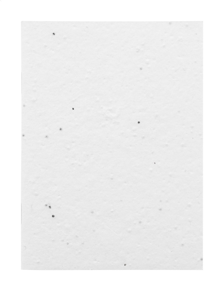 op maat gemaakt notitieboek van zaadpapier #3