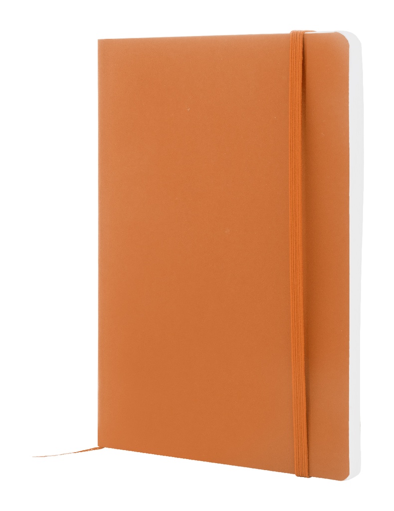 RPU-notitieboekje #2