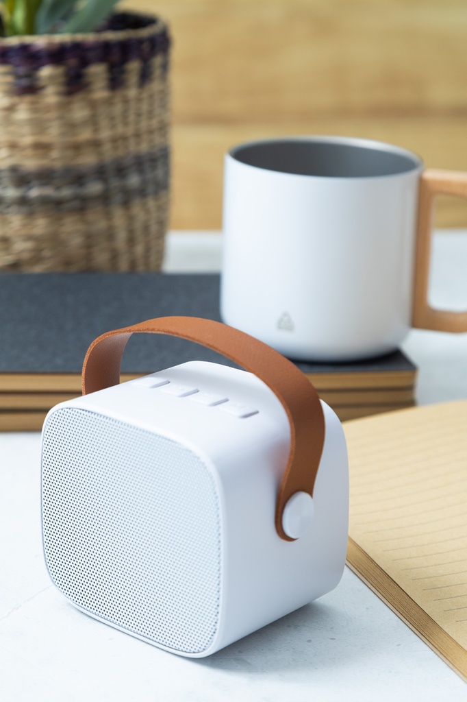 Draadloze RABS-luidspreker #4