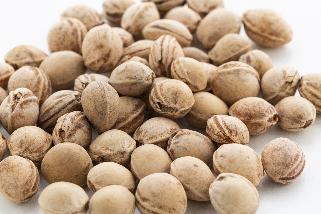 cherry seed kussen #4