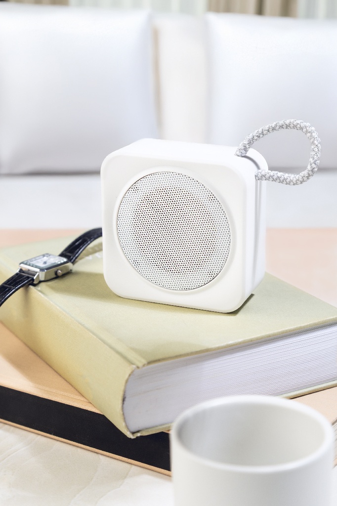 RABS draadloze luidspreker #6