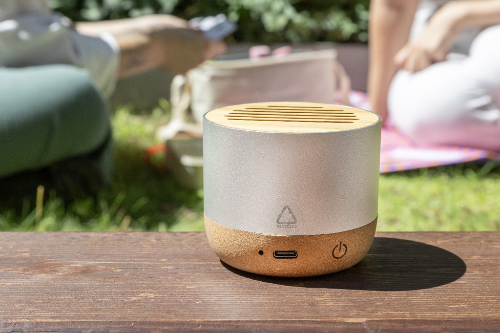 draadloze luidspreker #4