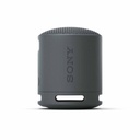 Sony Bluetooth Speaker SRS-XB100 Black