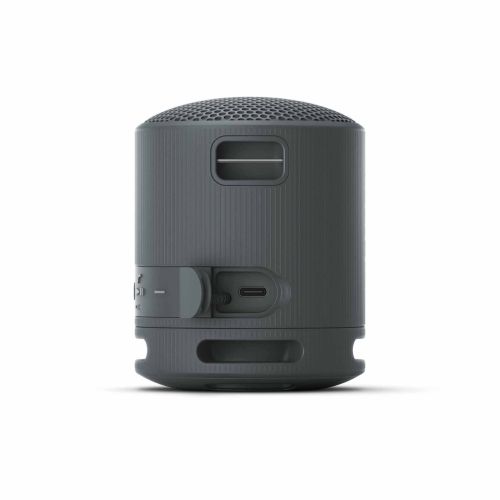 Sony Bluetooth Speaker SRS-XB100 Black