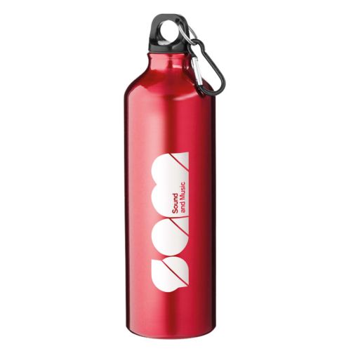 Aluminium Bottle With Carabiner (800ml)