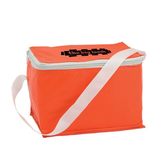 PVC 6 Can Cool Bag