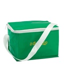 PVC 6 Can Cool Bag