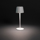 Zenic RCS recycled plastic USB re-chargable table lamp