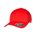 110 Mesh Cap