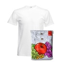 Fruit Underwear T 3 Pack