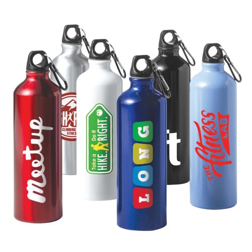 Aluminium Bottle With Carabiner (800ml)