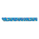 Liniaal Van 30 Cm, Hart Couler 30